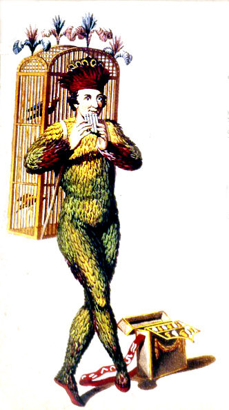 Papageno Zauberflote Magic Flute Cc0839 Mozart Postcard R56Eccd27287247B196Af3F0A0841E876 Vgbaq 8Byvr 699