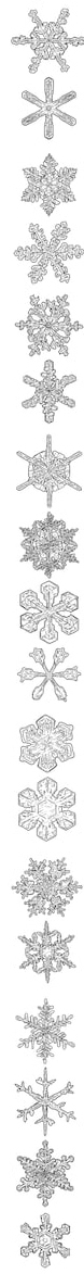 Snowflakes 2