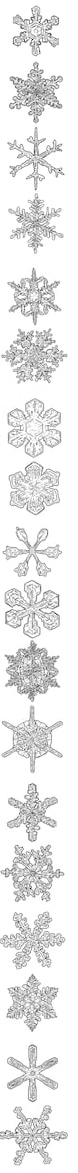 Snowflakes Illustration Drawing Engraving Ink 260Nw 738092569